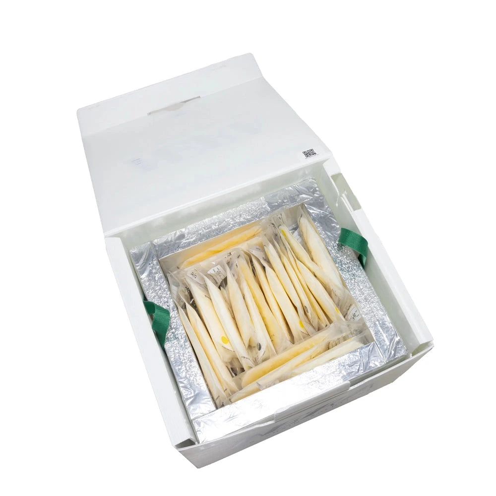 Nourishy Express Single-Feed Nourishy