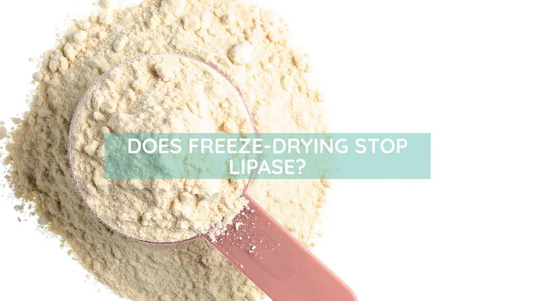 Does Freeze-Drying Stop Lipase